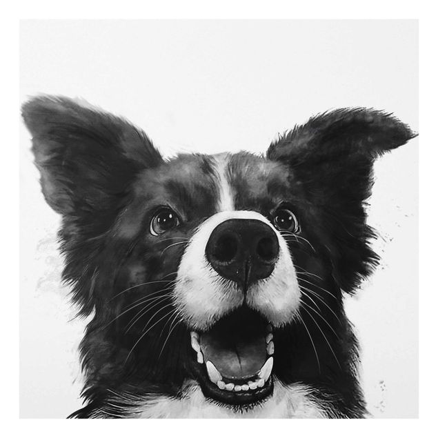 Glasbild - Illustration Hund Border Collie Schwarz Weiß Malerei - Quadrat 1:1