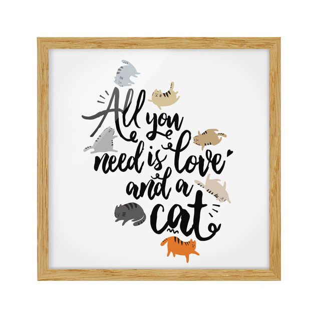 Bilder All you need is love and a cat