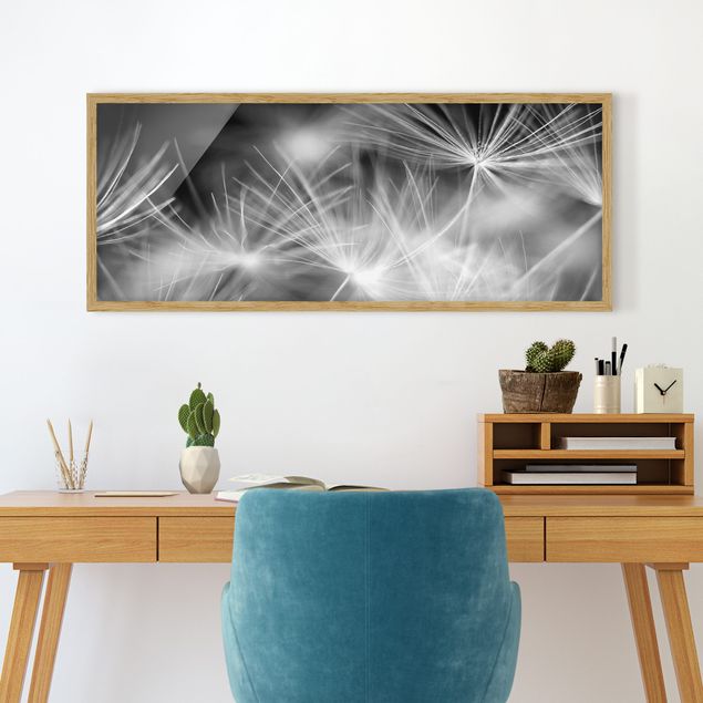 Moderne Bilder mit Rahmen Bewegte Pusteblumen Nahaufnahme auf schwarzem Hintergrund