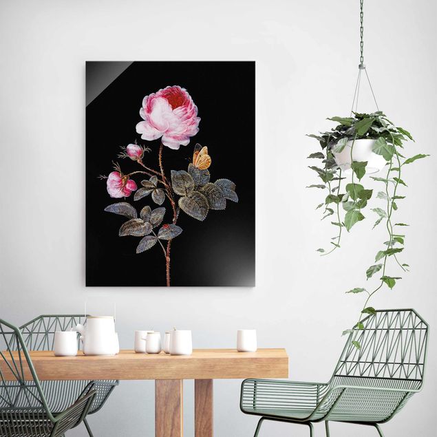 Glasbilder Blumen Barbara Regina Dietzsch - Die hundertblättrige Rose