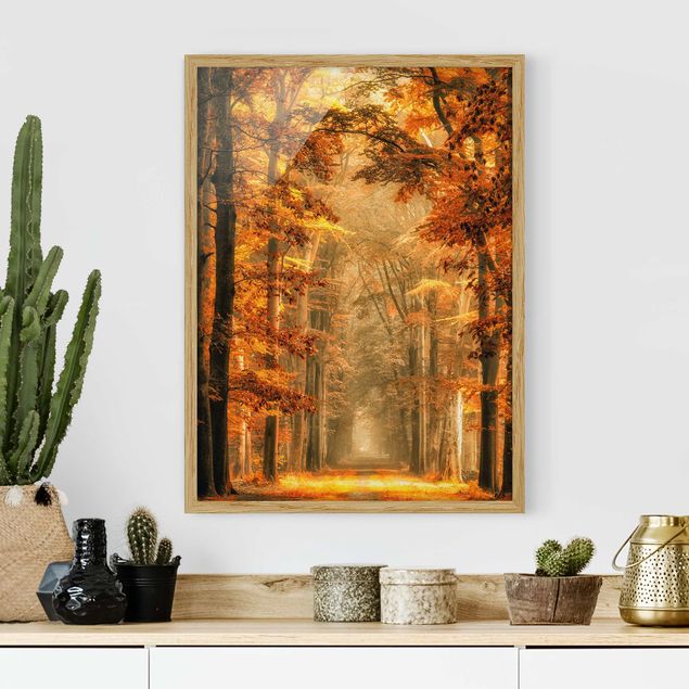 Moderne Bilder mit Rahmen Märchenwald im Herbst