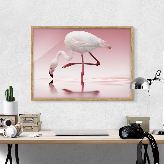 Tiere Bilder mit Rahmen Flamingo Dance