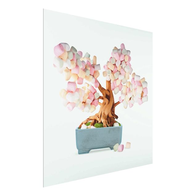 Wandbilder Bonsai mit Marshmallows