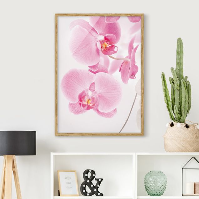 Blumen Bilder mit Rahmen Delicate Orchids