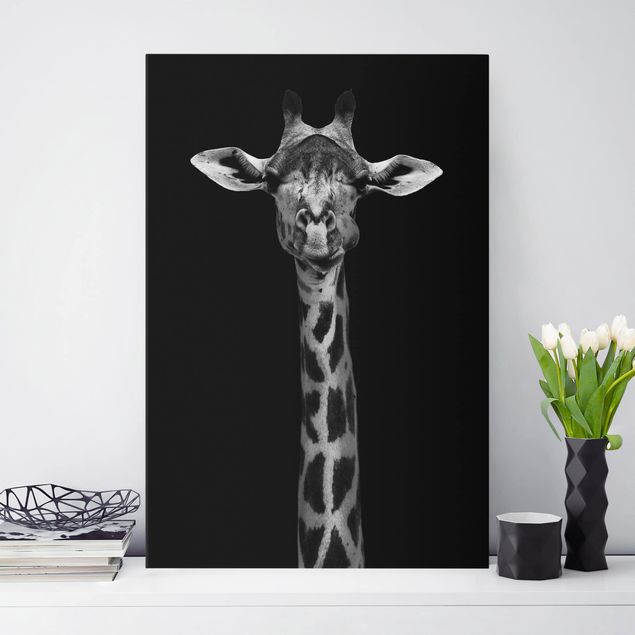 Leinwandbilder Tiere Dunkles Giraffen Portrait