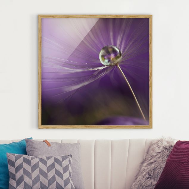 Blumen Bilder mit Rahmen Pusteblume in Violett