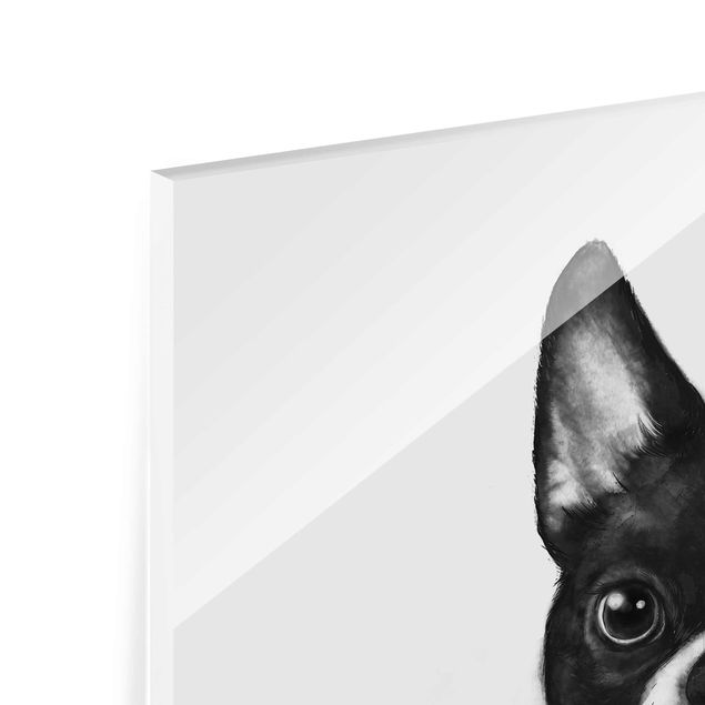 Glas Wandbilder Illustration Hund Boston Schwarz Weiß Malerei