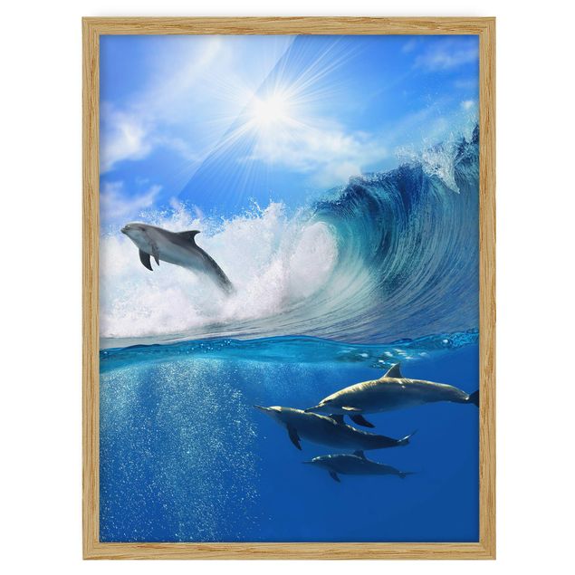 Wandbilder Playing Dolphins