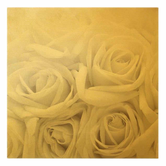 Leinwandbild Gold - Weiße Rosen - Quadrat 1:1
