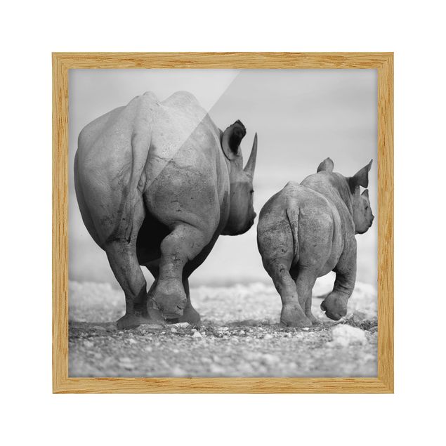 schöne Bilder Wandering Rhinos II