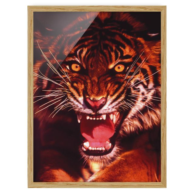 Wandbilder mit Rahmen Wilder Tiger