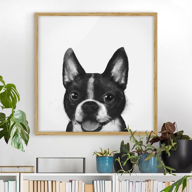 gerahmte Bilder schwarz-weiß Illustration Hund Boston Schwarz Weiß Malerei