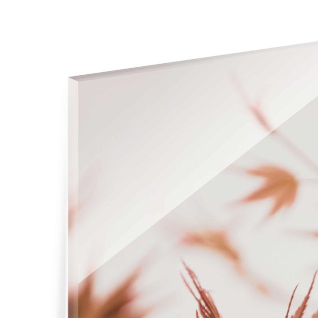 Glasbild - Ahornblätter in Herbstsonne - Quadrat