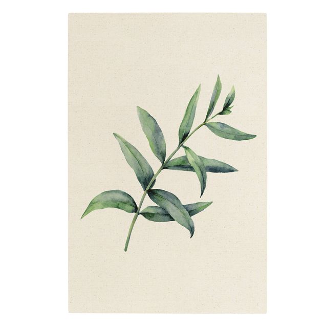 Leinwandbild Natur - Aquarell Eucalyptus I - Hochformat 2:3