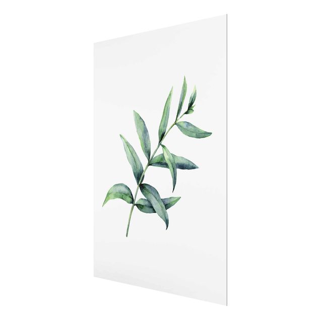 Glasbild - Aquarell Eucalyptus I - Hochformat