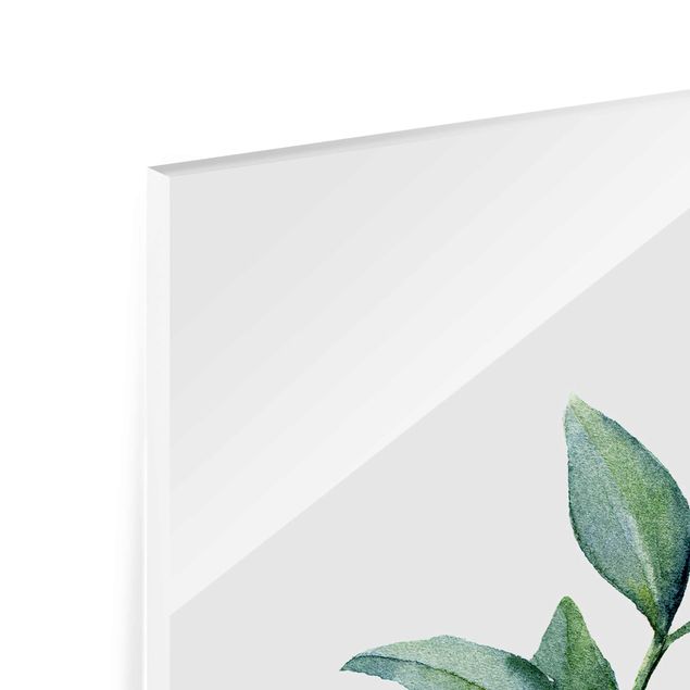 Glasbild - Aquarell Eucalyptus II - Hochformat