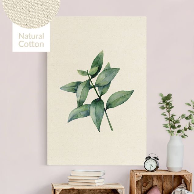 Leinwandbilder Blumen Aquarell Eucalyptus III