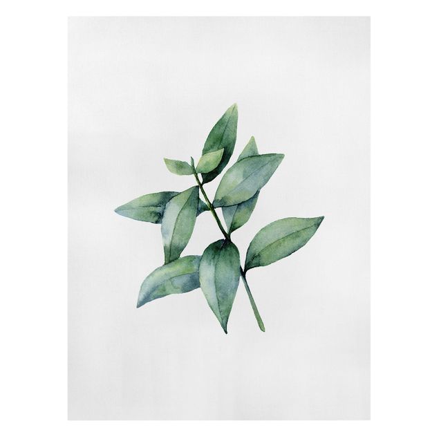 Leinwandbild - Aquarell Eucalyptus III - Hochformat 3:4