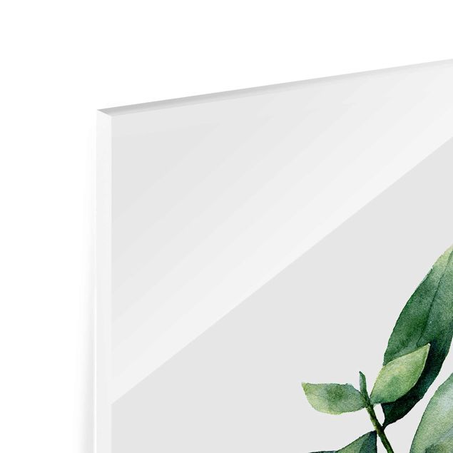 Glasbild - Aquarell Eucalyptus III - Hochformat