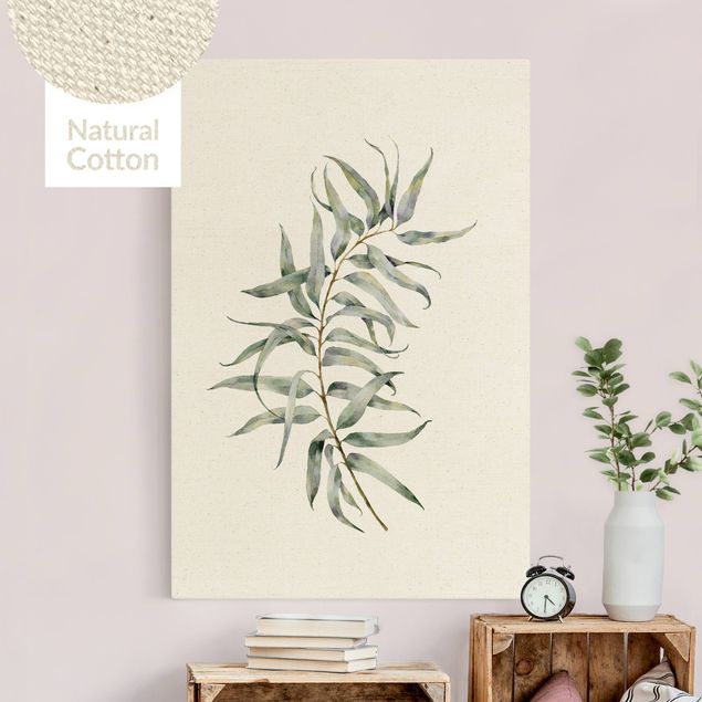 Blumenbilder auf Leinwand Aquarell Eucalyptus IV