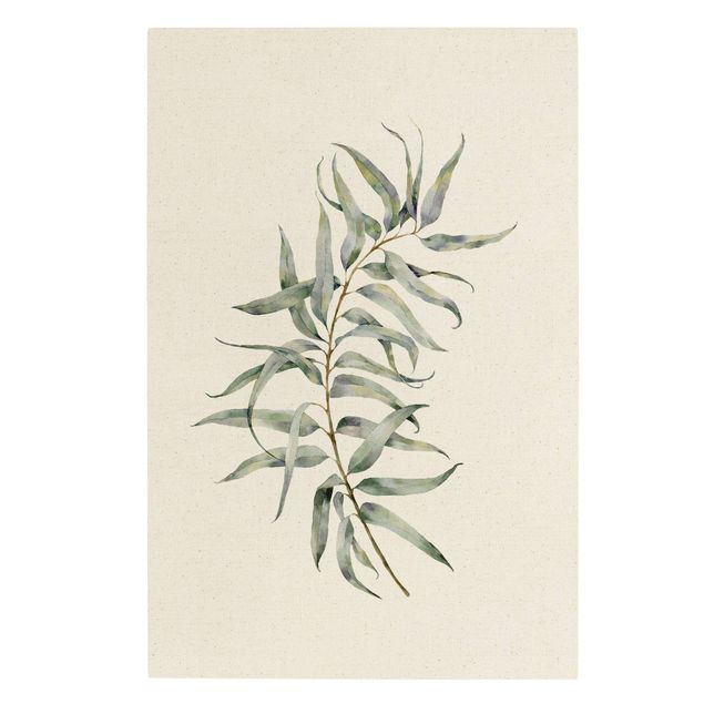 Leinwandbild Natur - Aquarell Eucalyptus IV - Hochformat 2:3