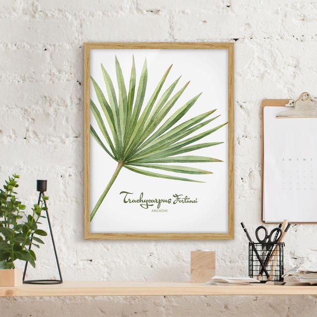 Sprüche Bilder mit Rahmen Aquarell Botanik Trachycarpus fortunei