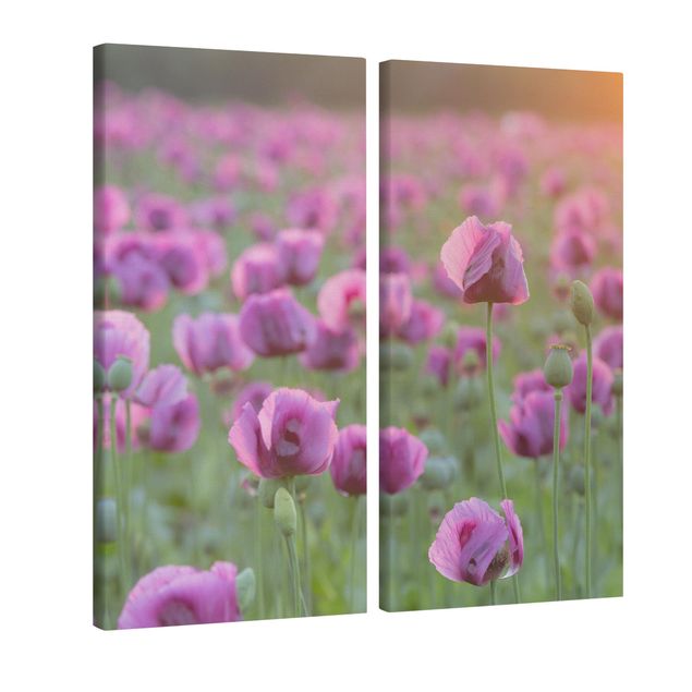 Leinwandbilder Violette Schlafmohn Blumenwiese im Frühling