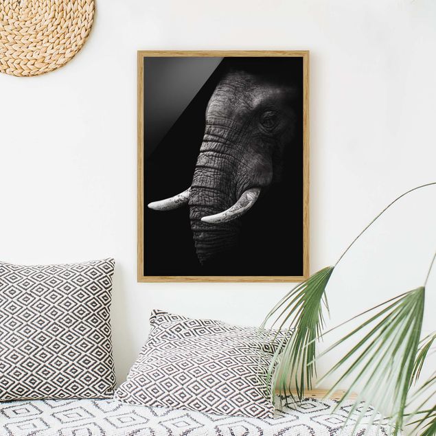 Tiere Bilder mit Rahmen Dunkles Elefanten Portrait