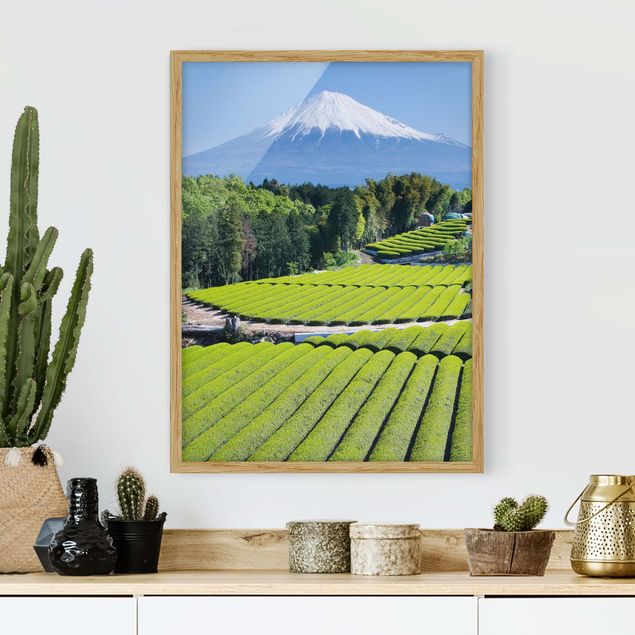 Moderne Bilder mit Rahmen Teefelder vor dem Fuji