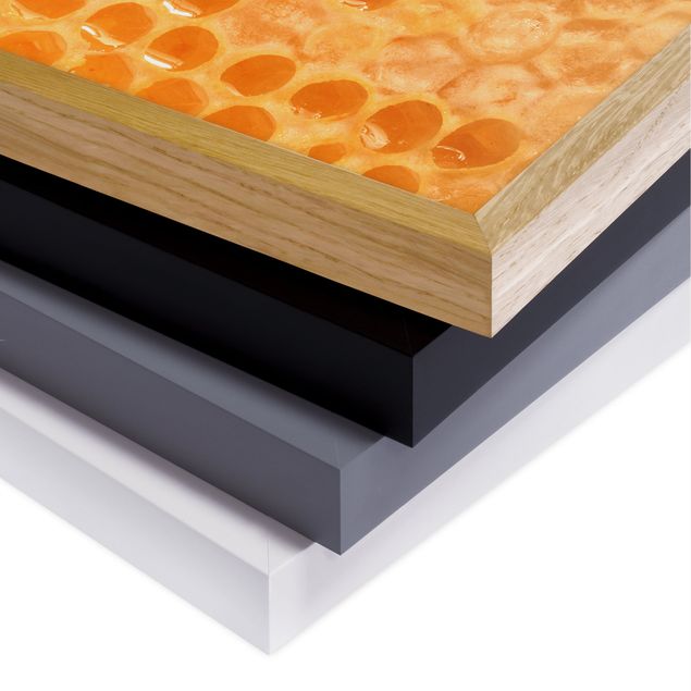 Bild mit Rahmen - Honey Bee - Quadrat 1:1