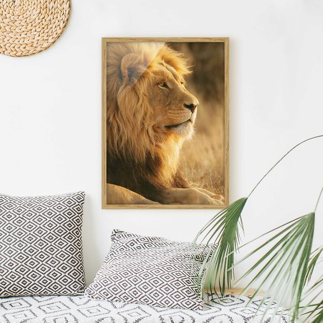 Tiere Bilder mit Rahmen Löwenkönig