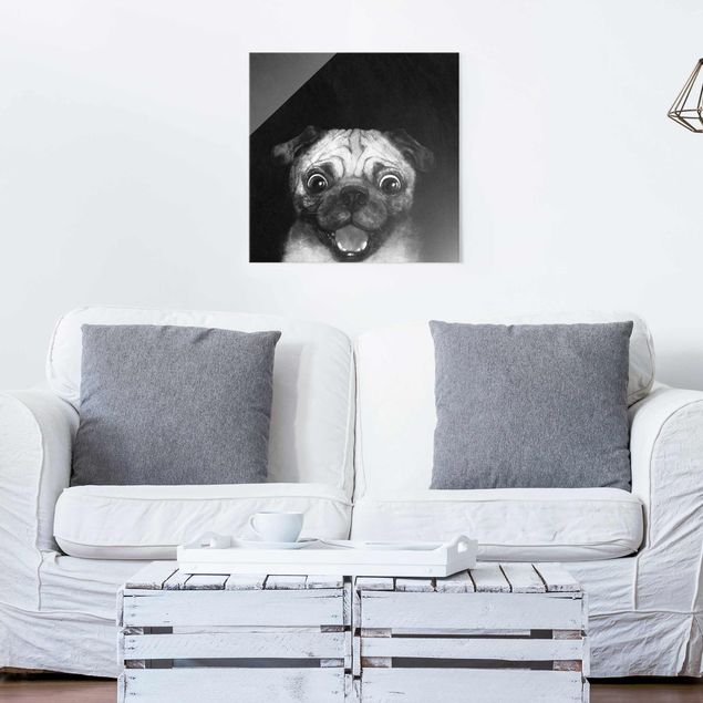 XXL Glasbilder Illustration Hund Mops Malerei auf Schwarz Weiß