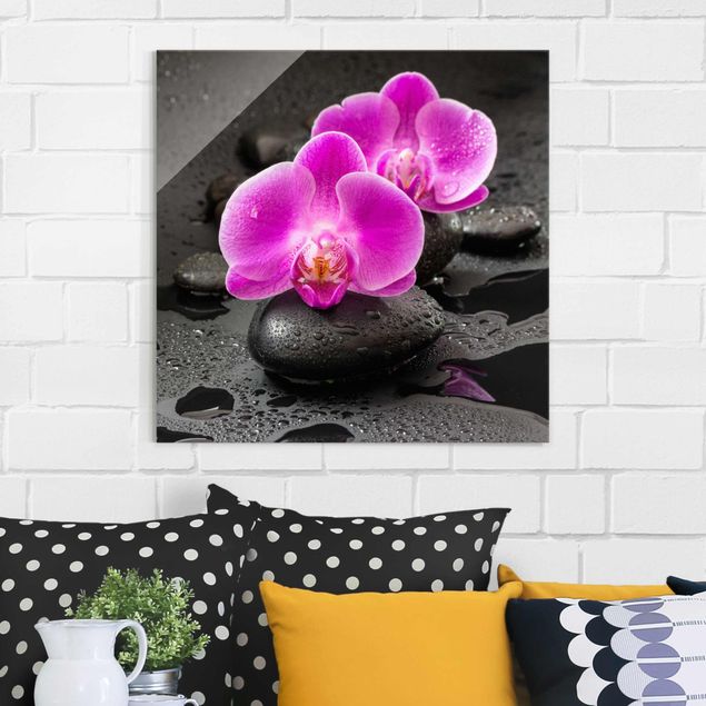 Glasbilder XXL Pinke Orchideenblüten auf Steinen mit Tropfen