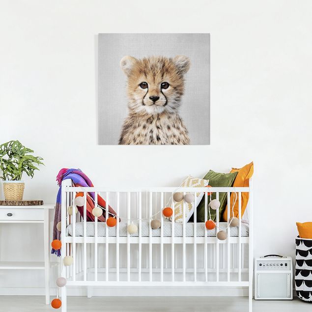 Leinwandbilder Baby Gepard Gino