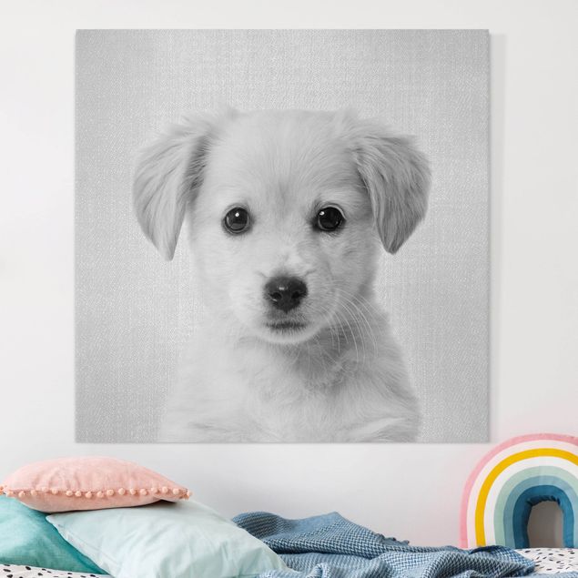 Leinwandbild Hund Baby Golden Retriever Gizmo Schwarz Weiß