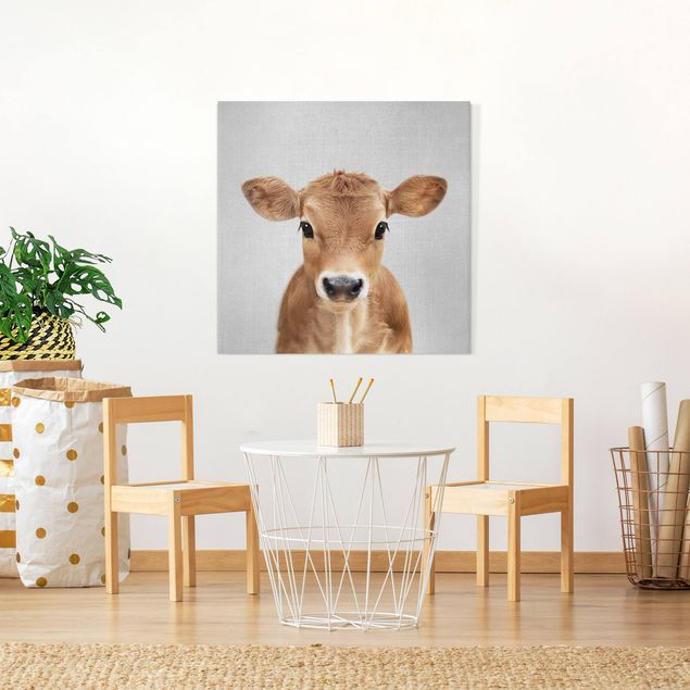 Wandbilder Baby Kuh Kira