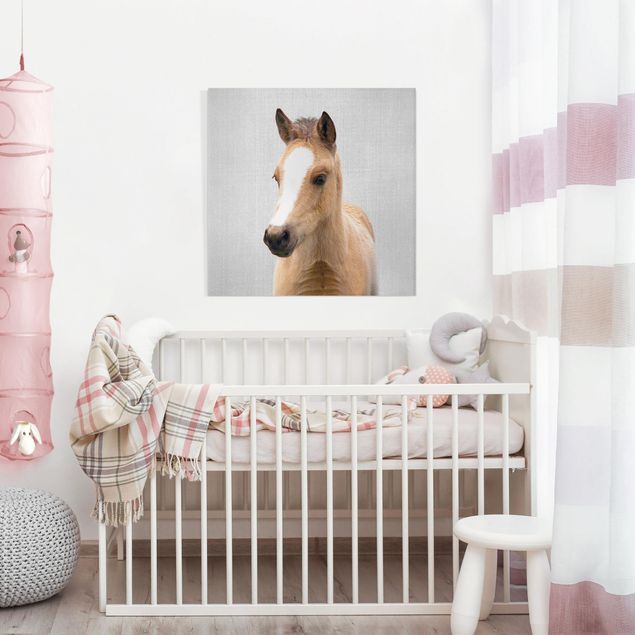 Bilder Baby Pferd Philipp