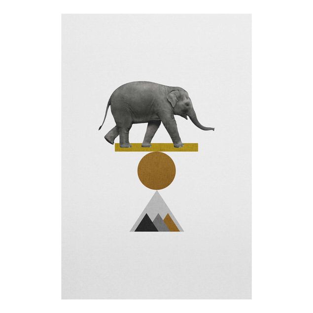 Glasbild - Balancekunst Elefant - Hochformat