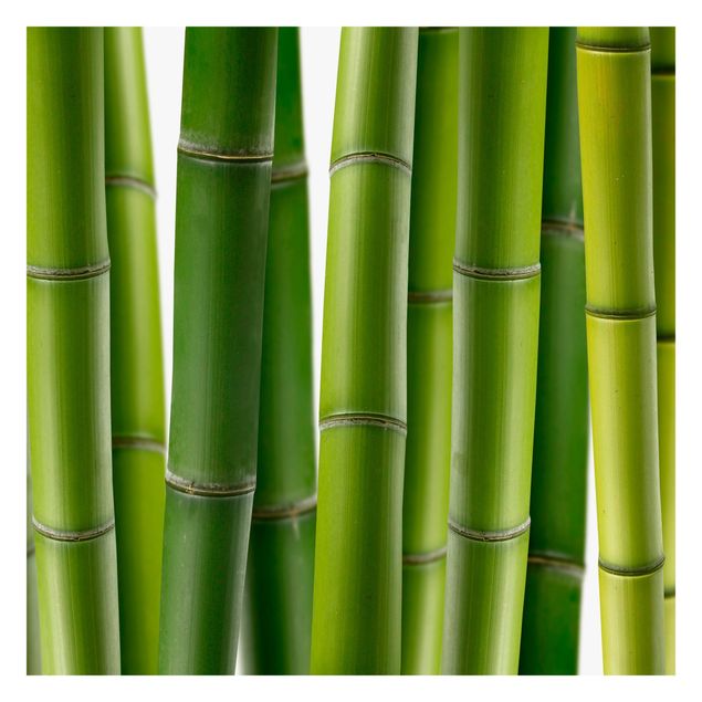 selbstklebende Tapete Bambuspflanzen