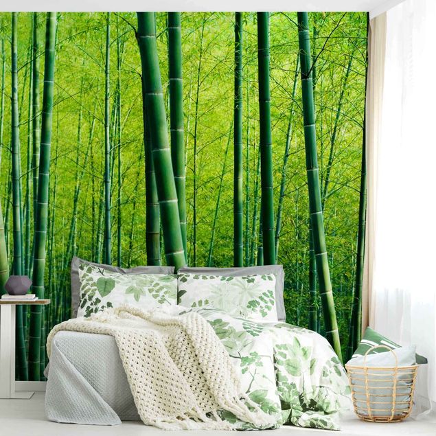 Bambus Tapete Bambuswald