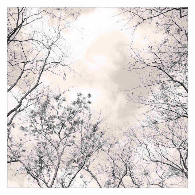 Fototapete selbstklebend Baumkronen im Himmel in Warmgrau