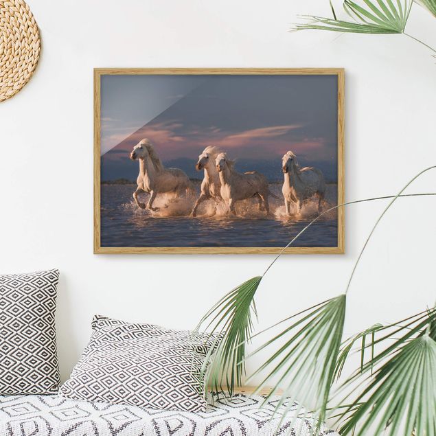Moderne Bilder mit Rahmen Wilde Pferde in Kamargue
