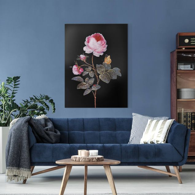 Leinwandbilder Blumen Barbara Regina Dietzsch - Die hundertblättrige Rose