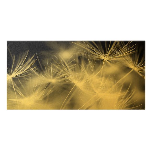 Leinwandbild Gold - Bewegte Pusteblumen Nahaufnahme auf schwarzem Hintergrund - Querformat 1:2