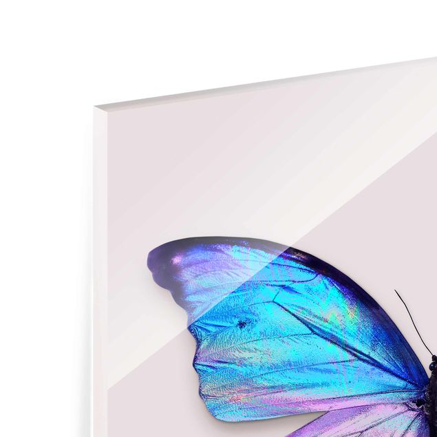 Glasbild - Jonas Loose - Holografischer Schmetterling - Quadrat 1:1