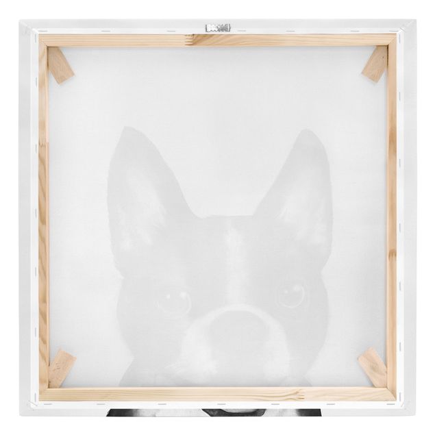 Leinwandbild - Illustration Hund Boston Schwarz Weiß Malerei - Quadrat 1:1