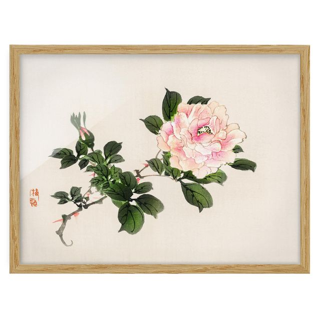 Bilder Asiatische Vintage Zeichnung Rosa Rose