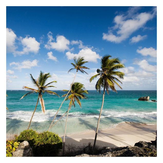 Tapeten kaufen Beach of Barbados
