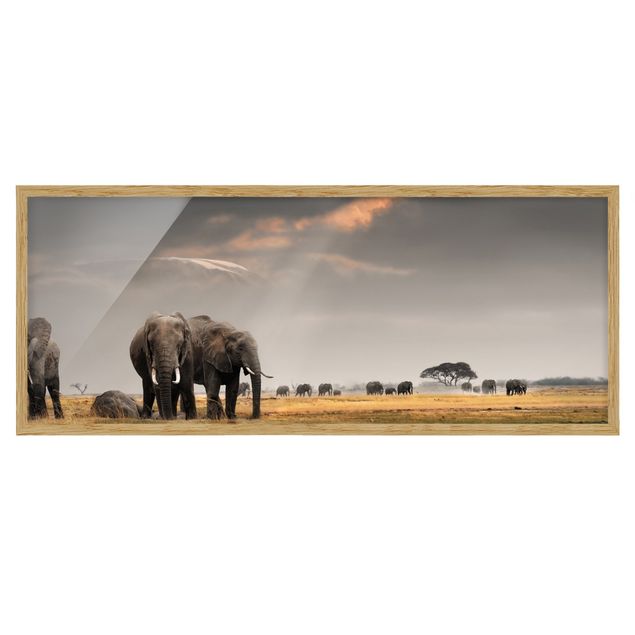 Bilder mit Rahmen Elefanten der Savanne
