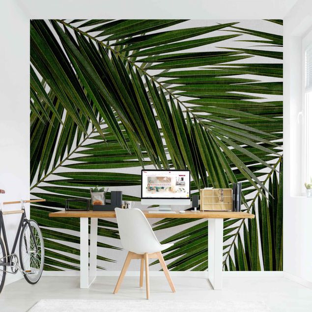 Design Tapeten Blick durch grüne Palmenblätter